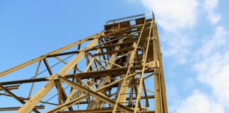 Do czego prowadzi nieleczona wszawicą?