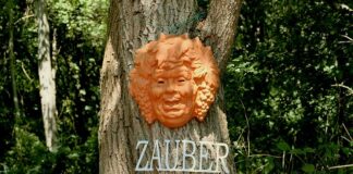 Czy spirytus zabija wszy?