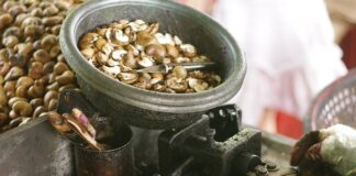 Jak szybko usunąć gnidy z włosów?