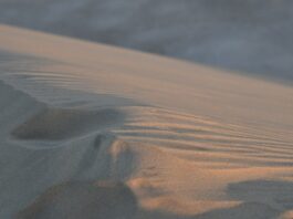 Jak szybko pozbyć się kataru i bólu gardła?