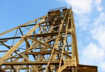 Ile czasu trwa wszawicą?