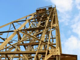 Ile czasu trwa wszawicą?