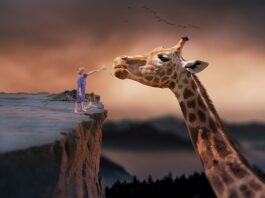 Czy karmienie mieszane ma sens?