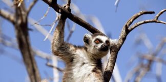 Jakie zachowania kręcą facetów?