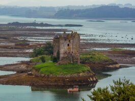 Gdzie aplikować feromony?