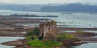 Gdzie aplikować feromony?